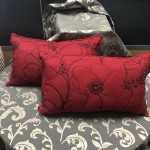 2 Giselle Coordinates Oblong Cushions